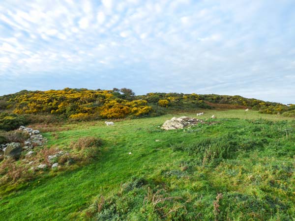 Ysgubor Newydd, Wales