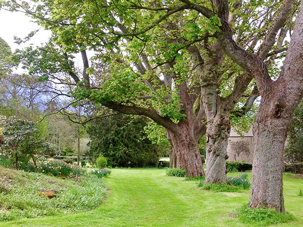 Dalvey House, Scotland