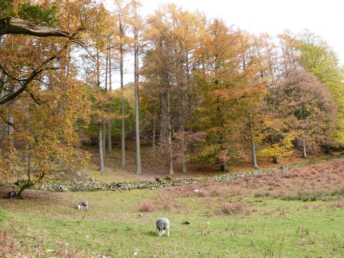 Elm, Cumbria and Lake District