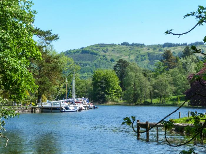 MAPLE, England, Cumbria, Lake District, Bowness-on-Windermere