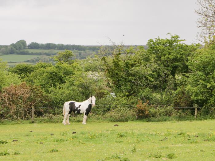 Broadmoor Farm - Nestling