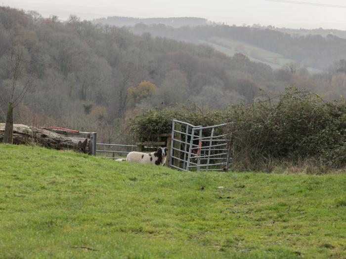 The Barn, Usk