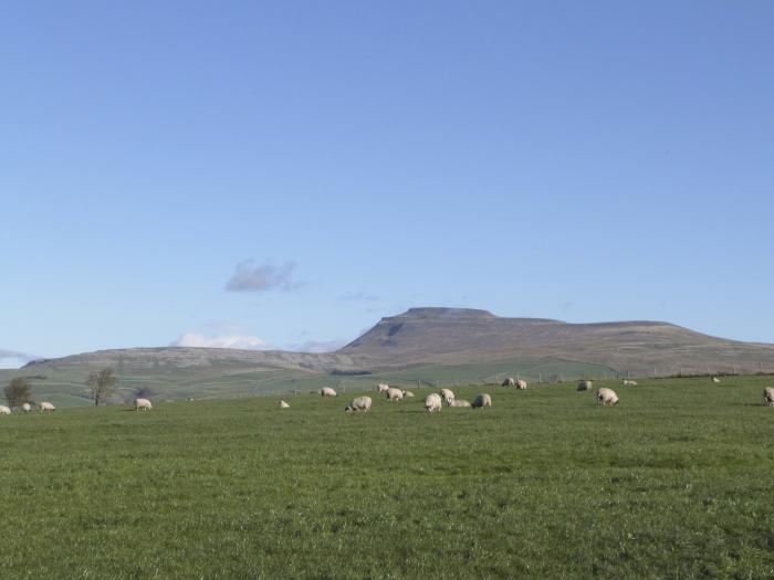 Coppa Hill Barn, Ingleton