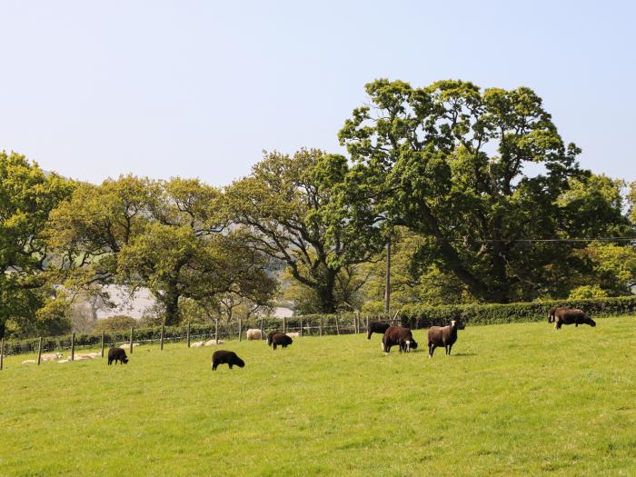 Cefn Isaf, Wales