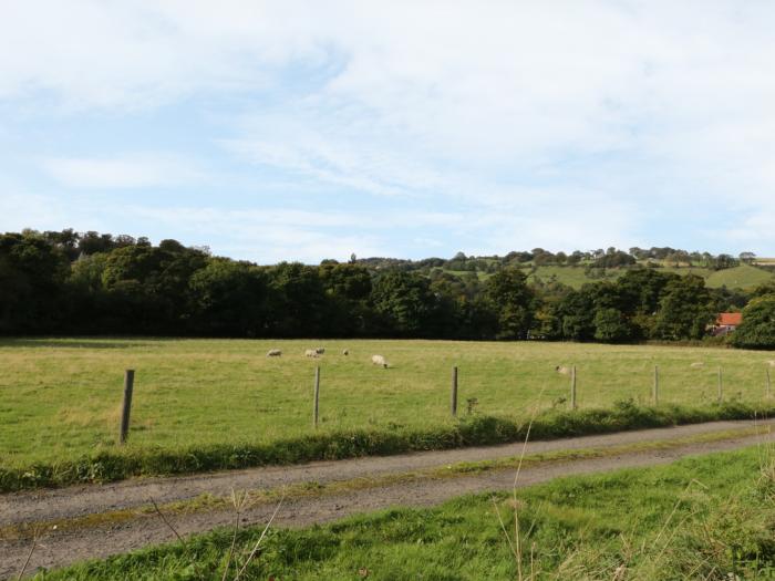 Lowdale Barns East, Yorkshire