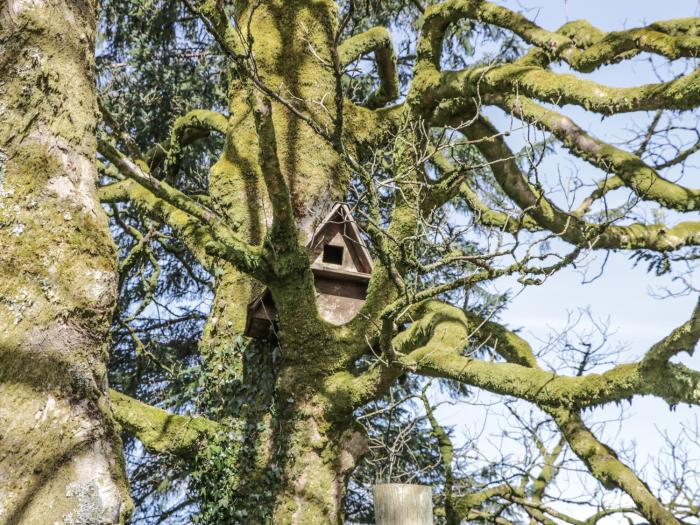 Corrafeckloch Forest Cottages, Dumfries and Galloway