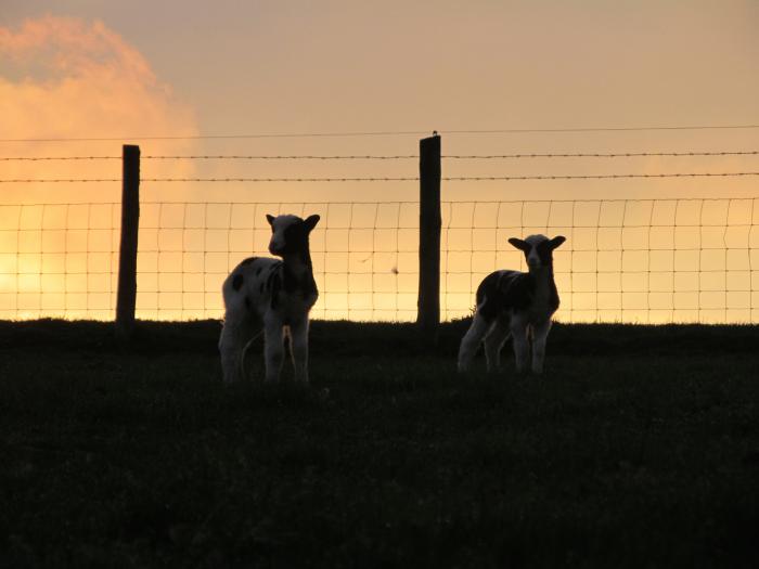 Nant-Isa, Shropshire