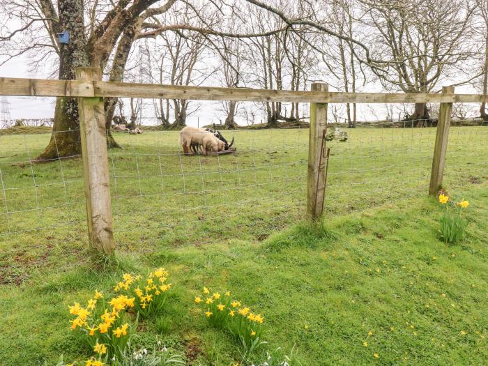 The Barn at Harrolds Farm, Pembrokeshire