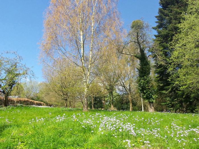 Beulah Cottage, Littledean