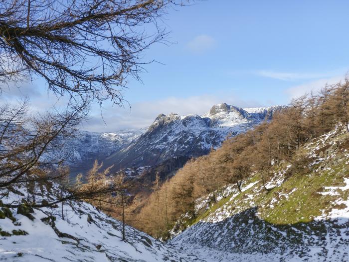 ROWAN. England, Cumbria, Lake District, Bowness-on-Windermere