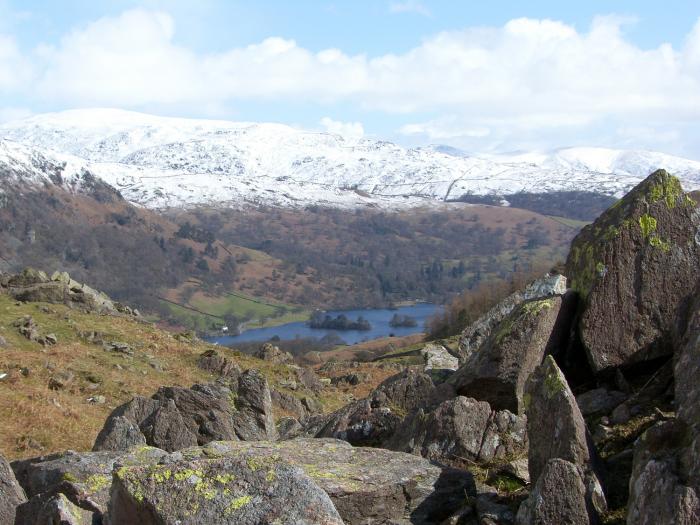 ROWAN. England, Cumbria, Lake District, Bowness-on-Windermere