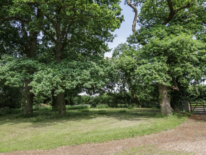 Squirrels Drey, Norfolk