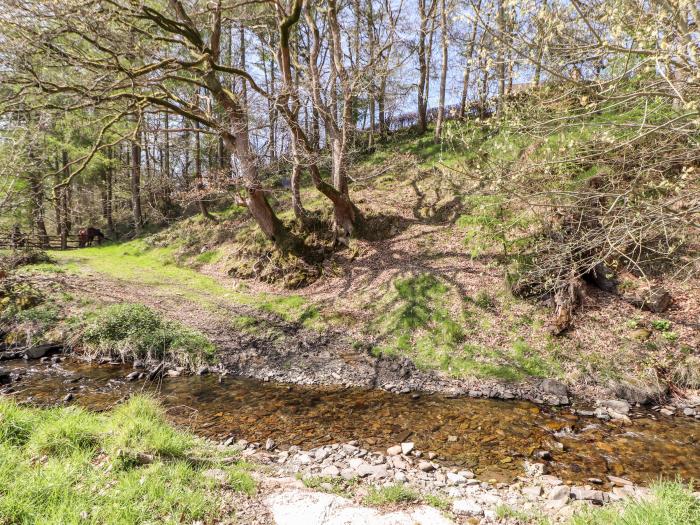 Nant Y Celyn nr Clawdd-Newydd, Denbighshire. Three-bedroom home with enclosed garden and woodburner.