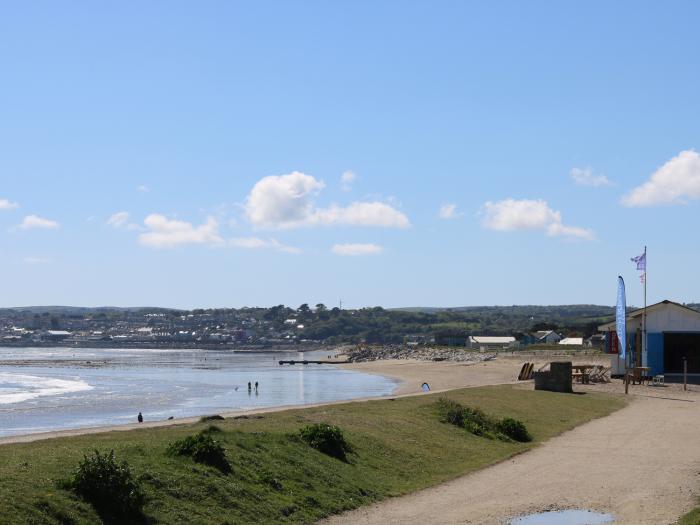 Seashells, Cornwall