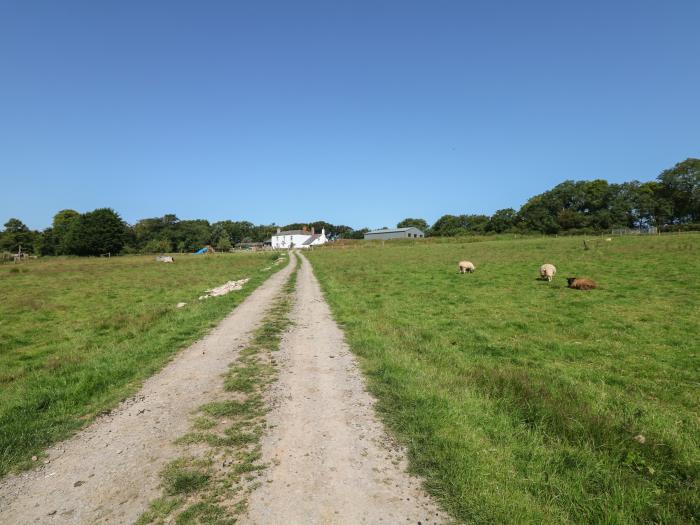 The Bushel, Devon