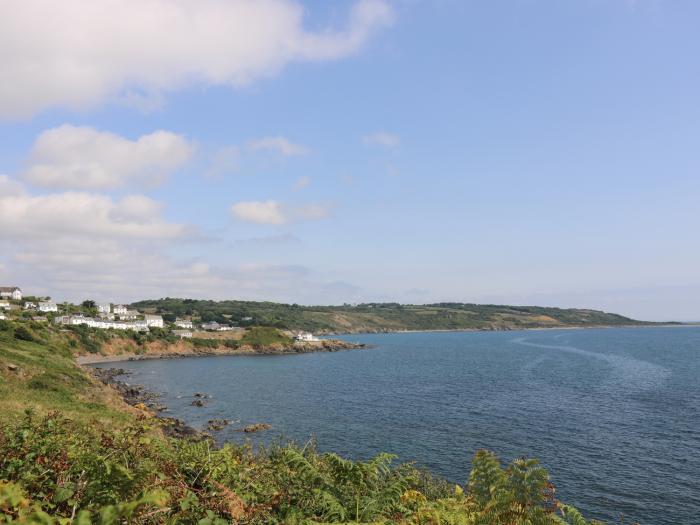 Gannet Watch, Cornwall