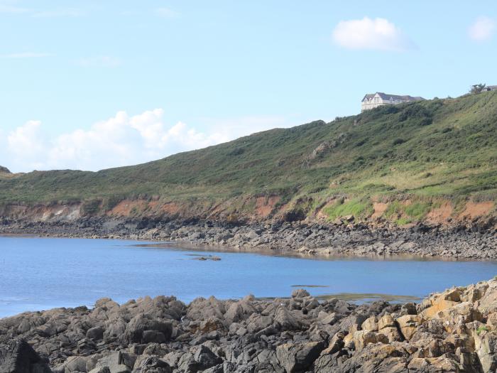 Gannet Watch, Cornwall