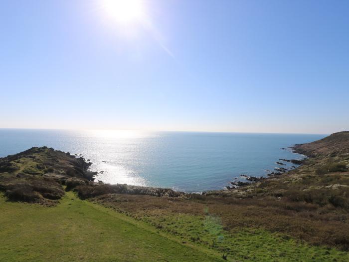 Gannet Watch, Cornwall