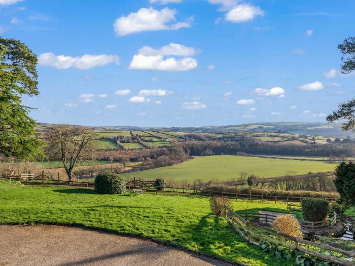 Little Silver Nugget, Devon