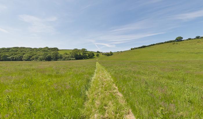 Marhayes, Camelford