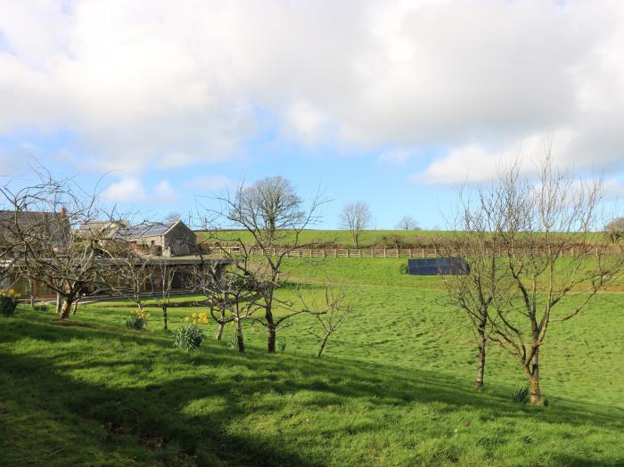 Westhayes, Camelford