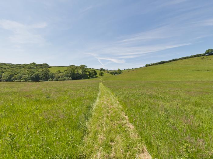 Westhayes, Camelford