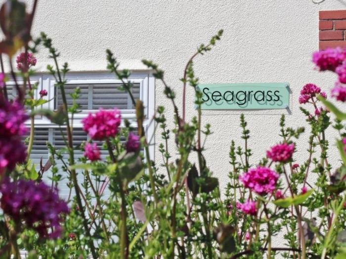 Seagrass, Newquay