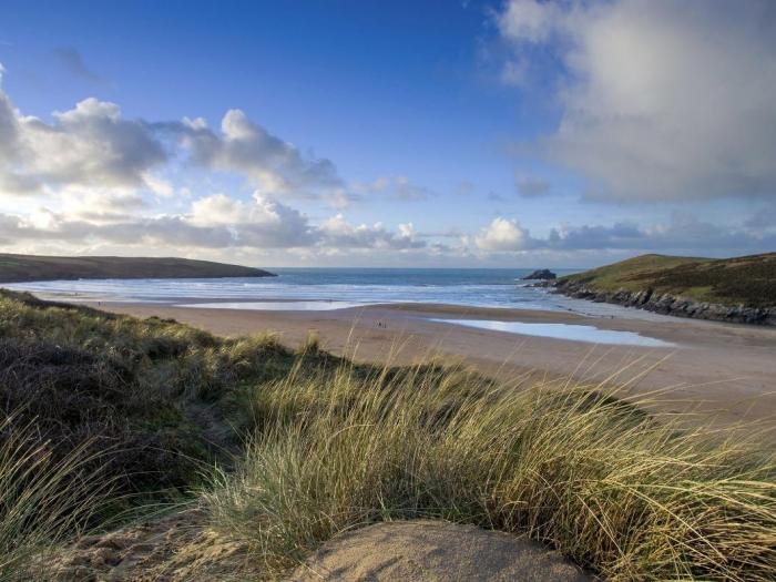 Seagrass, Newquay