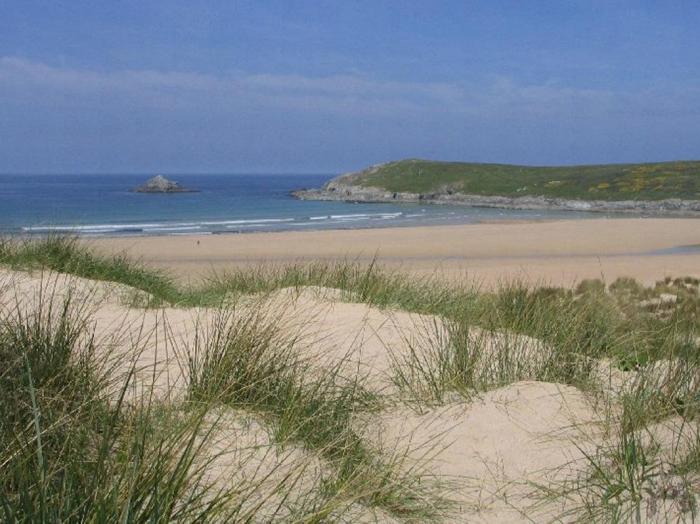 Seagrass, Newquay