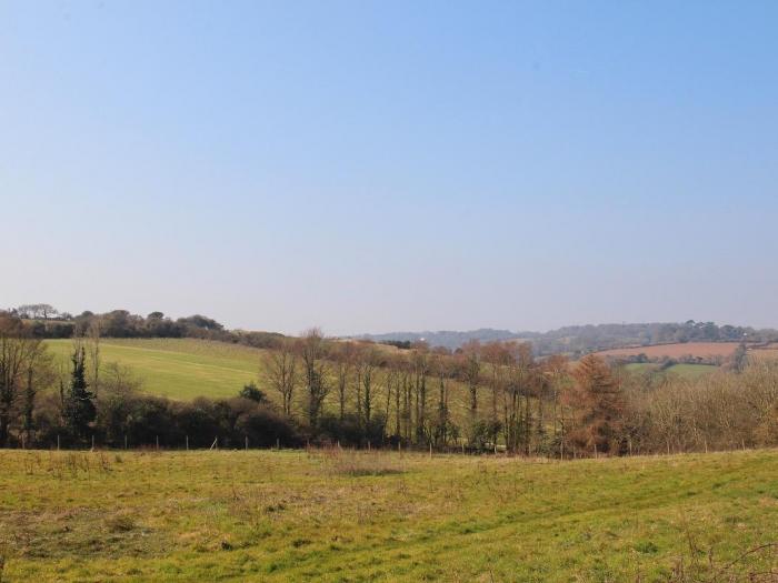 Willow, Cornwall