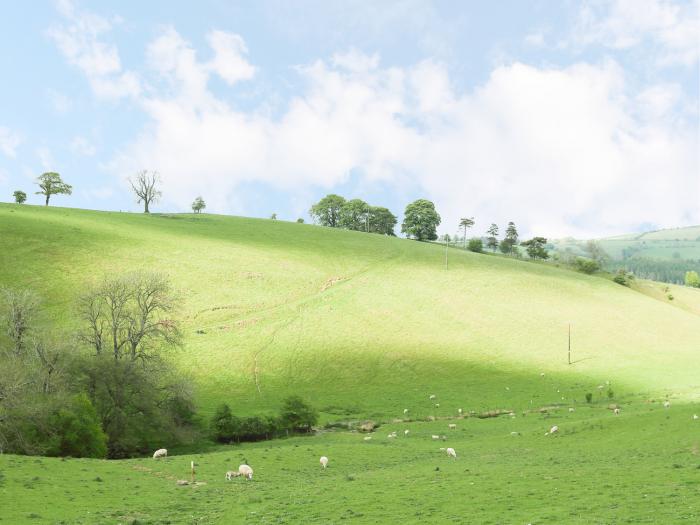 Rolling Hills, Bishop's Castle