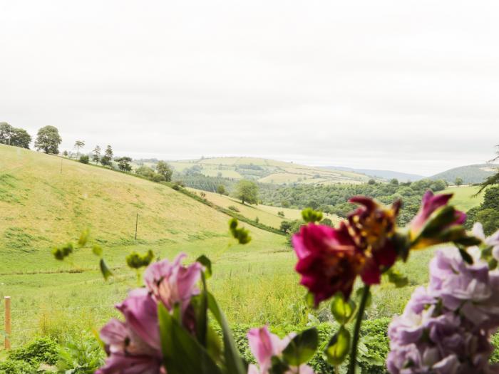 Rolling Hills, Bishop's Castle