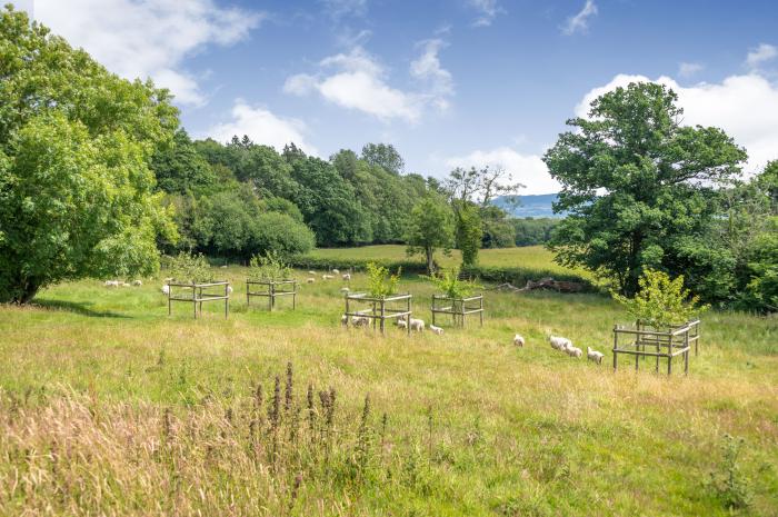 Fern Hall Cottage, Herefordshire