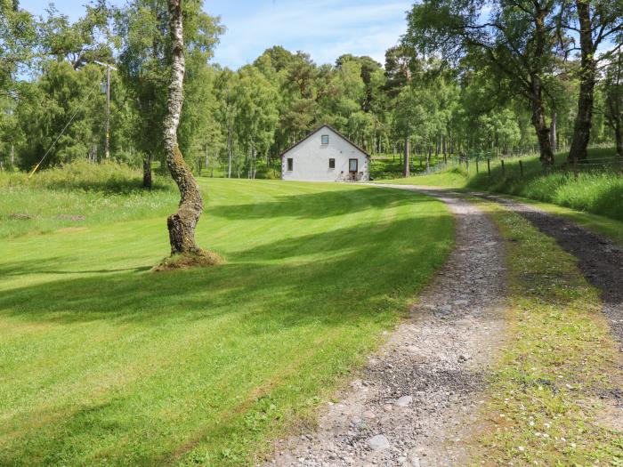 Birchbank, Scottish Highlands