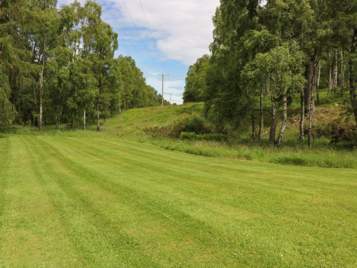 Birchbank, Scottish Highlands