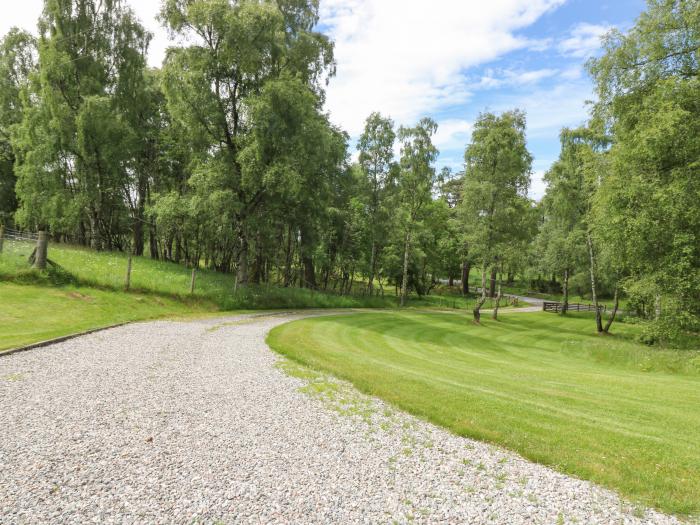 Birchbank, Scottish Highlands