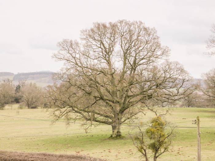 Oakland Cottage, Craven Arms