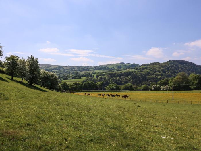 Pen Y Maes, Powys