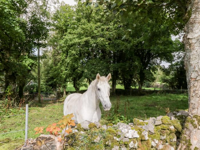 Lough Mask Road Fishing Cottage, Ballinrobe, County Mayo