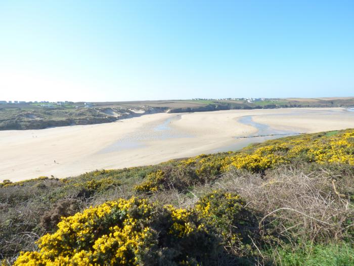 3 Kingsley Mews, Cornwall