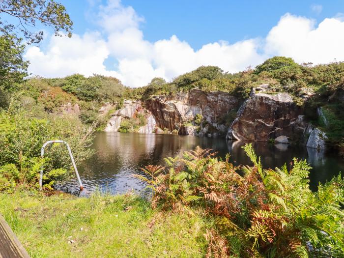 Costentyn, Tor Down Quarry, St Breward