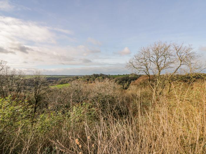 Costentyn, Tor Down Quarry, St Breward