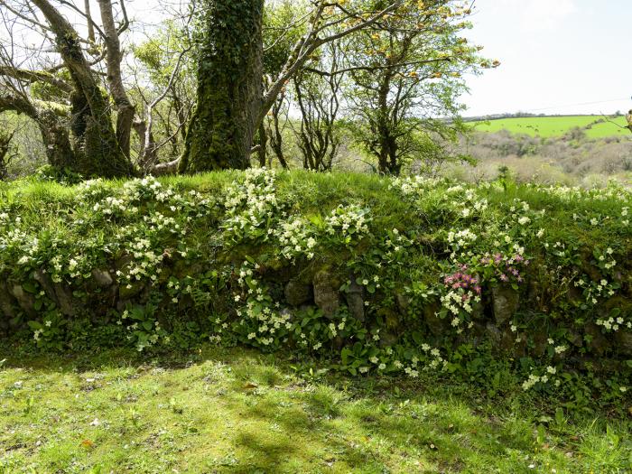 Old Mill Cottage, Cornwall