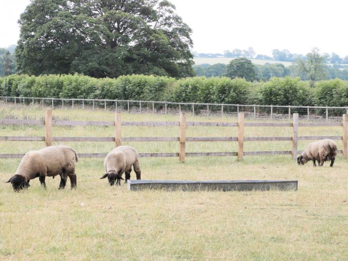 Town Farm, Winston