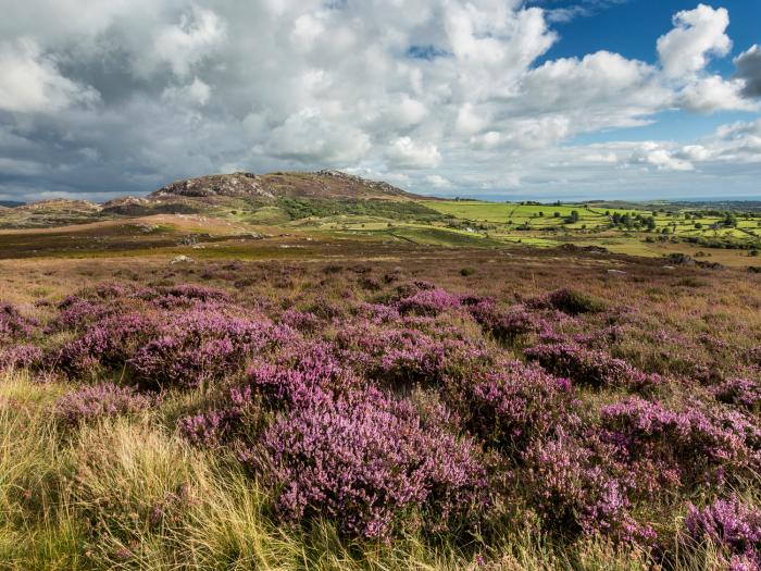 Tyn Y Gorlan, North Wales