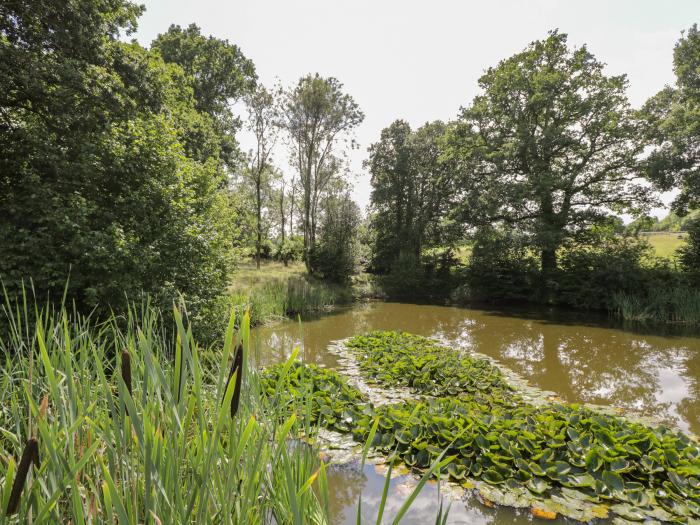 Pond View, Rockbourne