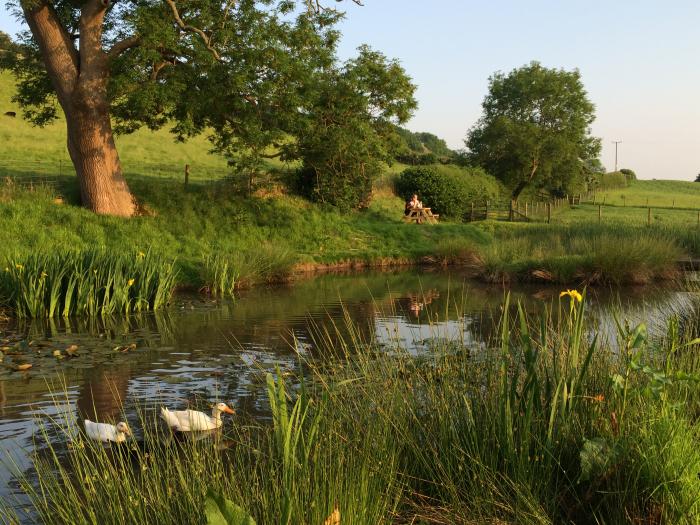 Shepherd's View, Shropshire