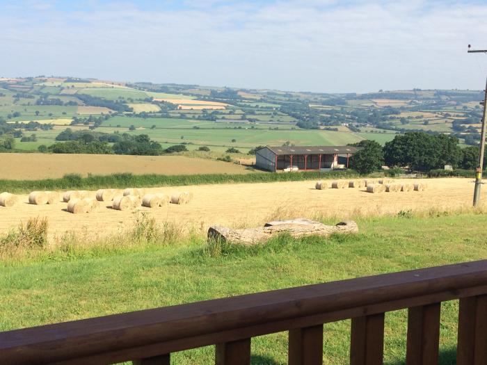 Shepherd's View, Shropshire