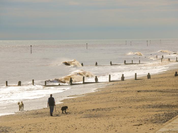 Driftwood, Withernsea