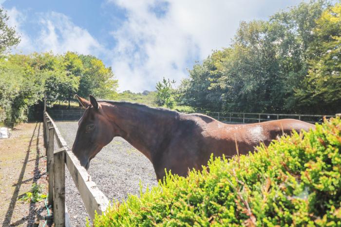 Manege Cottage, Cornwall